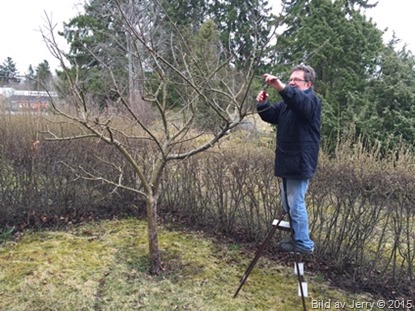 2014-04-12 2015-04-12