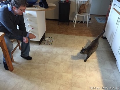 2015-04-12 2015-04-12