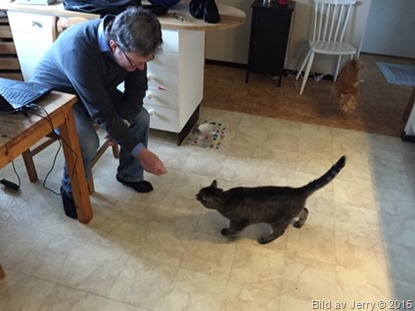2015-04-12 2015-04-12