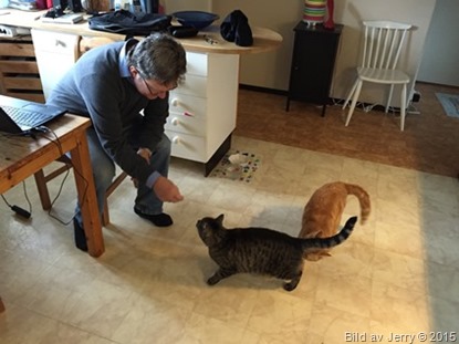 2015-04-12 2015-04-12