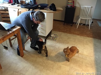 2015-04-12 2015-04-12