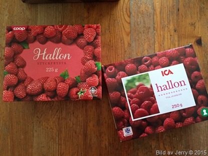 2015-04-28 Hallon 2015-04-28 Hallon