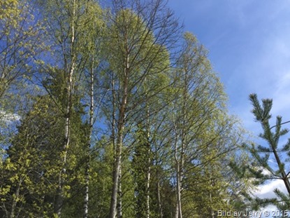 2015-05-09 2015-05-09