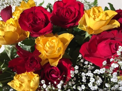 2015-05-12 2015-05-12