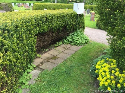2015-06-05 2015-06-05