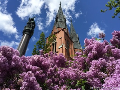 2015-06-05 2015-06-05