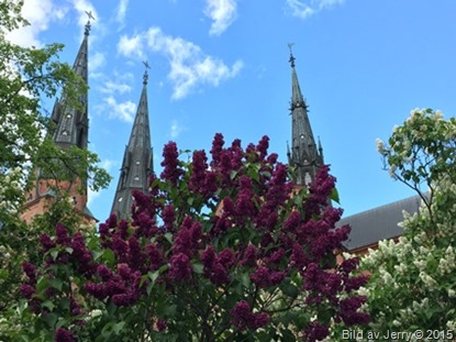 2015-06-05 2015-06-05