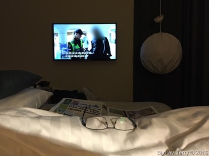 2015-06-11 Quality Hotel Globe