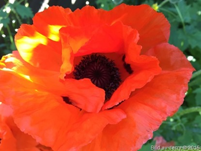 2015-06-12 2015-06-12