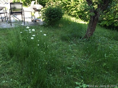 2015-06-12 2015-06-12