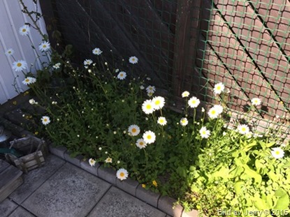 2015-06-12 2015-06-12