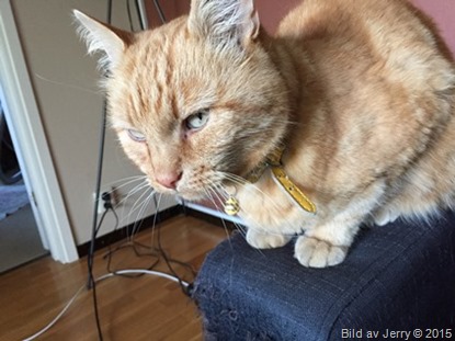2015-06-30 Felix