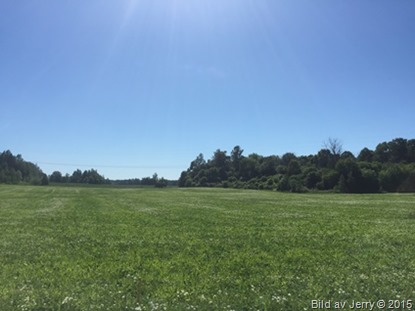 2015-07-02 2015-07-02