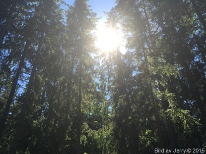 2015-07-02 2015-07-02