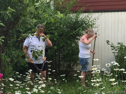 2015-07-05 2015-07-05