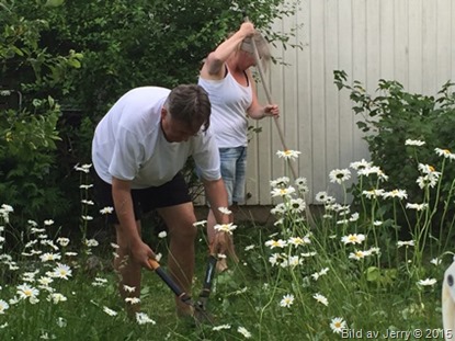 2015-07-05 2015-07-05