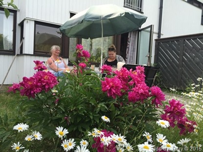 2015-07-05 2015-07-05