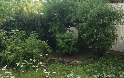 2015-07-05 2015-07-05