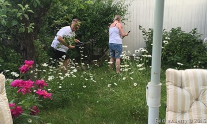 2015-07-05 2015-07-05