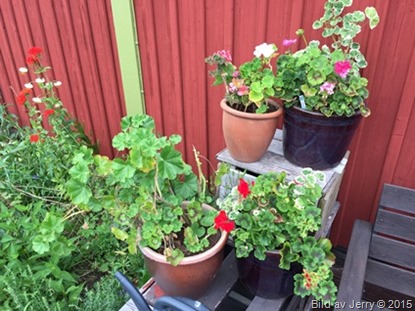 2015-07-07 Husbyborg