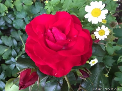 2015-07-07 Husbyborg