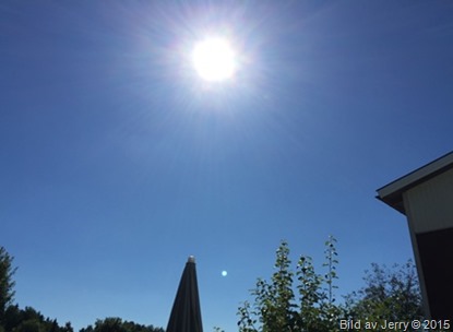 Härlig augustisol