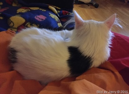 2015-09-21 Maja 2015-09-21 Maja
