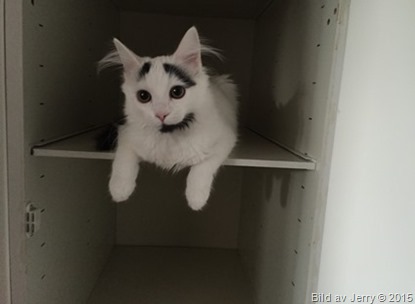 2015-10-03 Maja