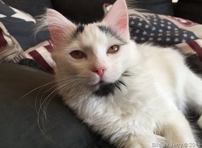 2015-10-03 Maja