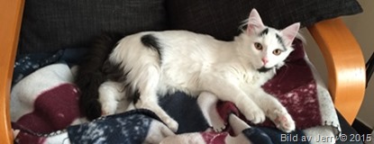 2015-10-18 Maja