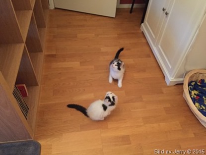 2015-11-06 2015-11-06