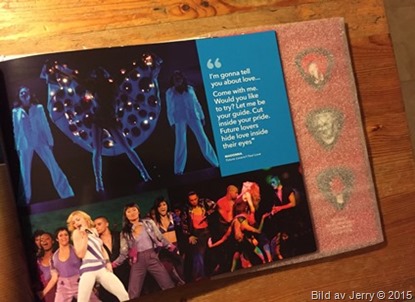 2015-11-17 Madonna VIP-paket