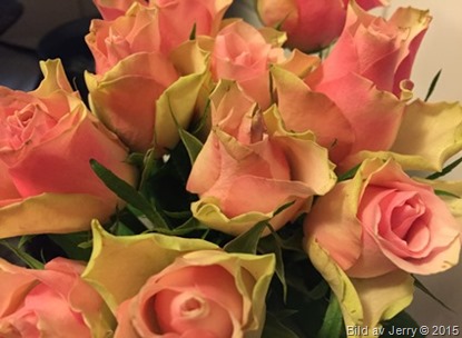 2015-11-21 Rosor