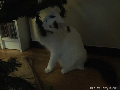 Första Advent 2015