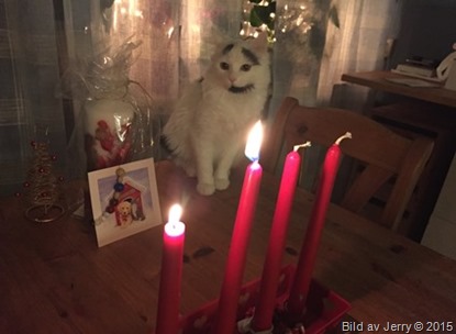 2015-12-06 Maja firar 2015-12-06 Maja firar