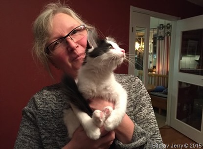2015-12-11 Anna & Lucifer 2015-12-11 Anna & Lucifer