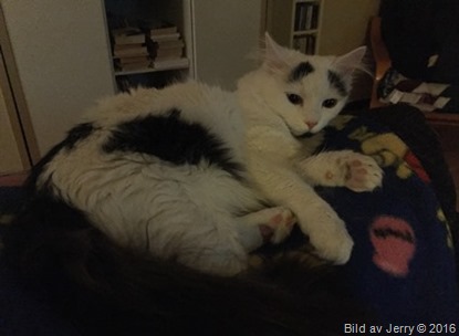 2016-01-16 Maja 2016-01-16 Maja