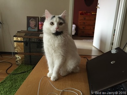 Maja i april 2016 Maja i april 2016