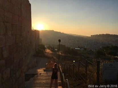 Resan till Israel 11 maj 2016 Resan till Israel 11 maj 2016