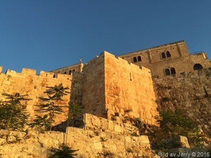 Resan till Israel 11 maj 2016 Resan till Israel 11 maj 2016