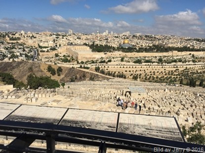Resan till Israel 11 maj 2016 Resan till Israel 11 maj 2016