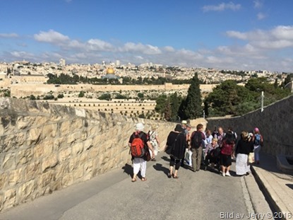 Resan till Israel 11 maj 2016 Resan till Israel 11 maj 2016