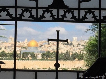 160511_Israel17 160511_Israel17