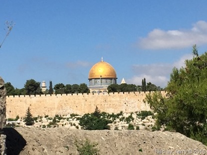 Resan till Israel 11 maj 2016 Resan till Israel 11 maj 2016