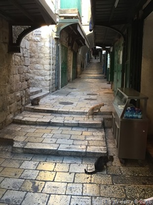 Resan till Israel 12 maj 2016 Resan till Israel 12 maj 2016