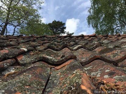 Teamdag 1 Breidagård 18 maj 2016