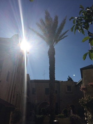 Studieresa till Israel 2016 Studieresa till Israel 2016