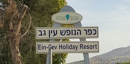 1605_IsraelBB_01x 1605_IsraelBB_01x