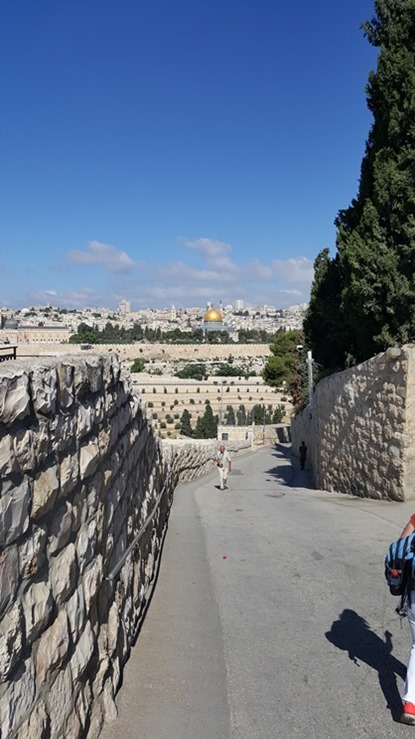 Olivberget, Israel 11 maj 2016 Olivberget, Israel 11 maj 2016