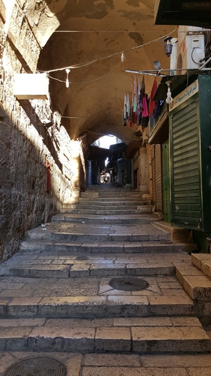 1605_IsraelBB_44 1605_IsraelBB_44